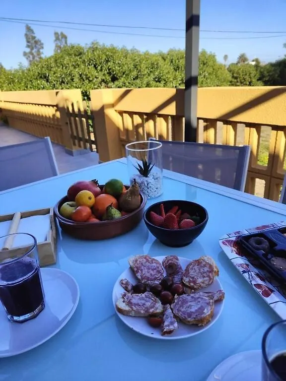 Apartament Superbe Appartement Terrasse Entierement Renove Au Bord De L'Ebre Deltebre Hiszpania